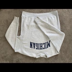 Champion Reverse Weave Michigan Sweater